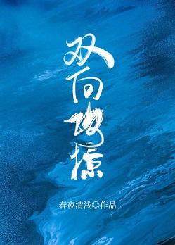 双向攻掠封面