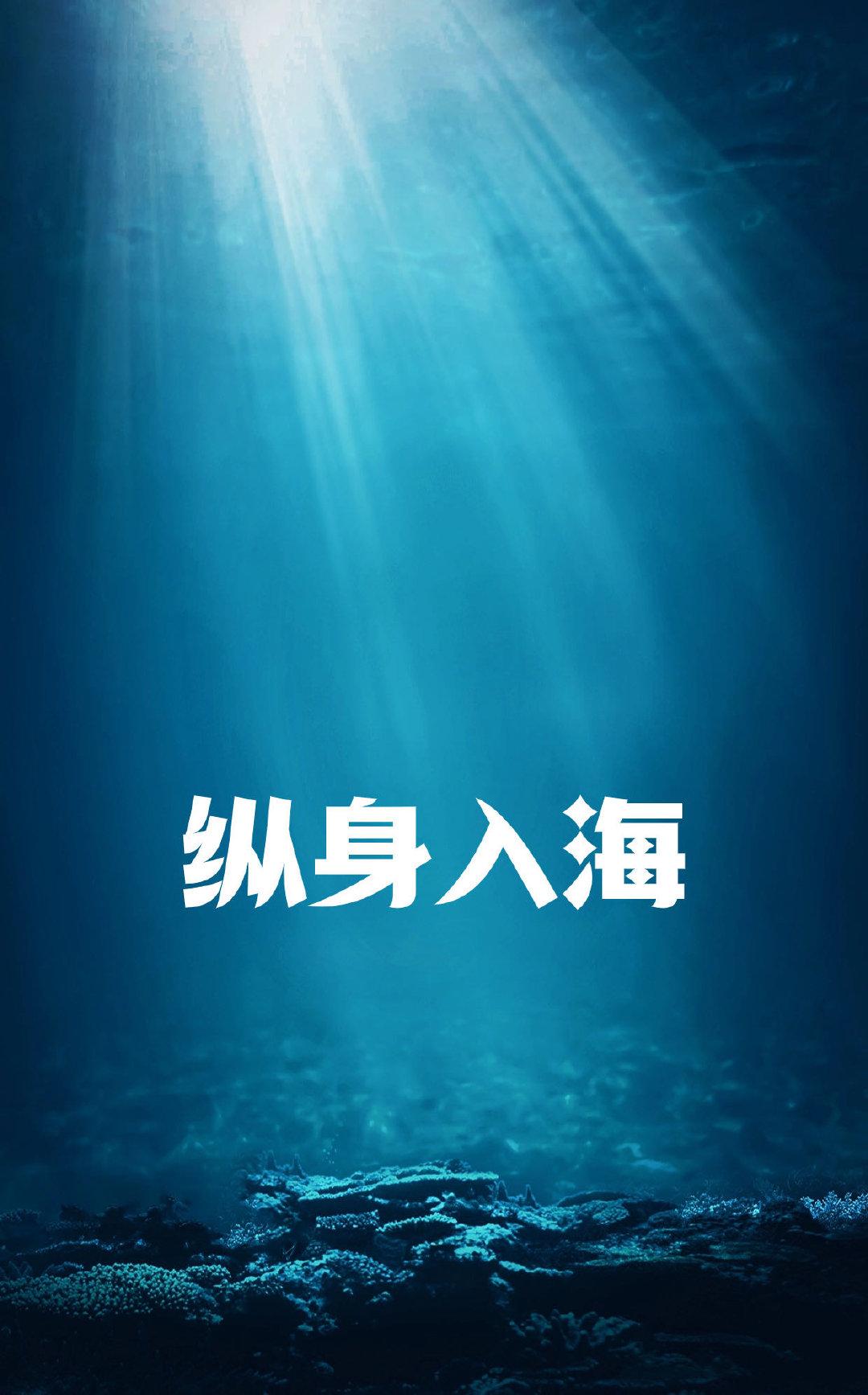 纵身入海封面