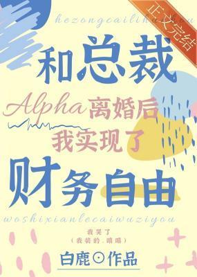 和总裁Alpha离婚后我实现了财务自由封面