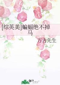 [综英美]蝙蝠绝不掉马封面