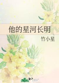 他的星河长明封面