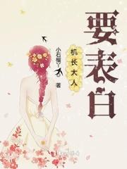 机长大叔是饿狼封面
