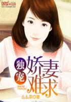 独宠:娇妻难求封面