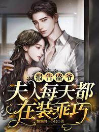 报告盛爷，夫人每天都在装乖巧封面