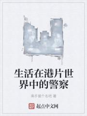 生活在港片世界中的警察封面