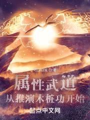 属性武道：从推演木桩功开始封面