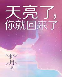 天亮了，你就回来了封面
