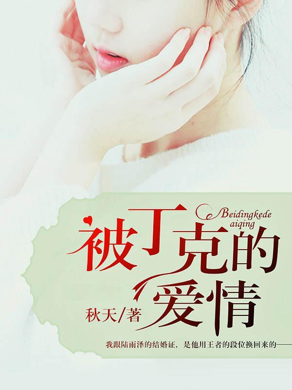 被丁克的爱情封面
