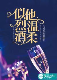 他温柔似烈酒封面