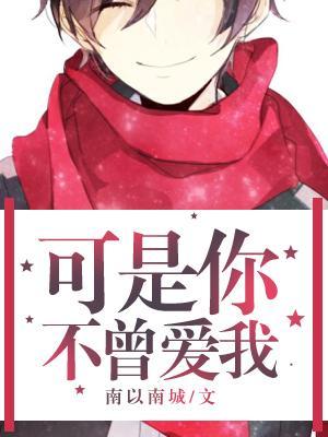 可是你不曾爱我封面