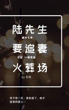 陆先生要追妻火葬场封面