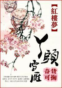 红楼之丫头雪雁封面