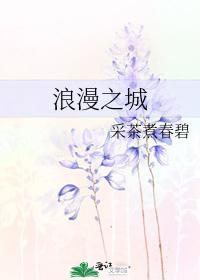 浪漫之城封面