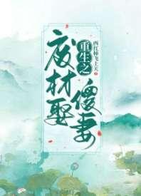 重生之废材娶傻妻封面