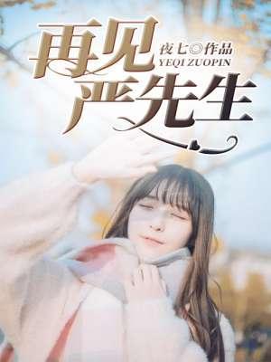 再见严先生封面