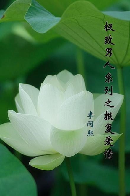 一个影卫的故事封面
