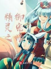 精灵之御宠师封面