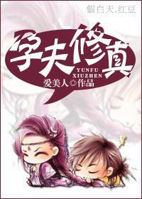 孕夫修真封面