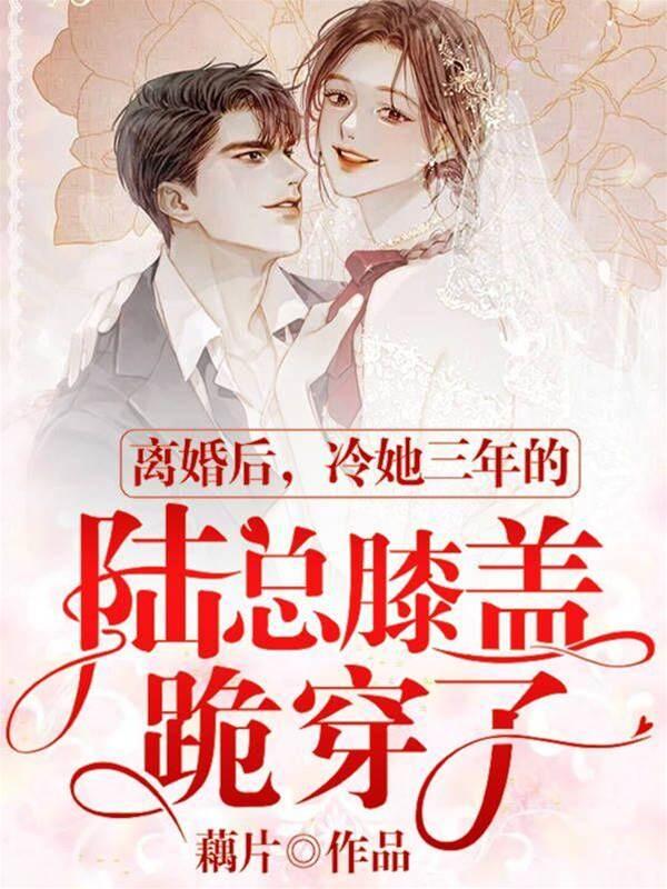 离婚后冷她三年的陆总膝盖跪穿了封面