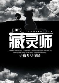 藏灵师封面