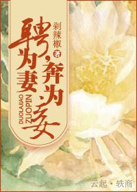 聘为妻，奔为妾封面