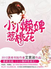 小小懒婢惹桃花封面