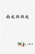 南风微微起封面