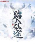 踏入仙途封面