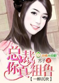 一醉沈欢：总裁，你真粗鲁封面