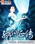 孤仙正传封面