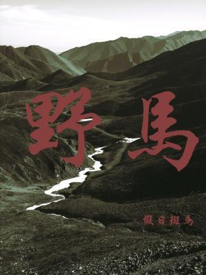 野马封面