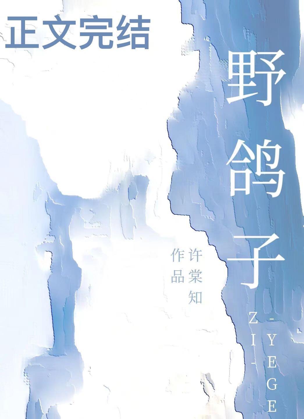 野鸽子封面