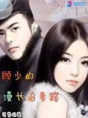 顾少的漫长追妻路封面