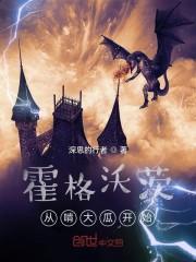 霍格沃茨从啃大瓜开始封面