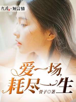 爱一场，耗尽一生封面