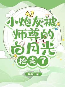 小炮灰被师尊的白月光捡走了封面