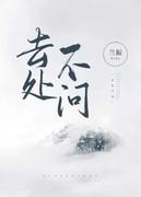 去处不问封面