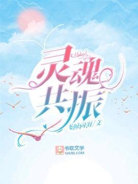 灵魂共振封面