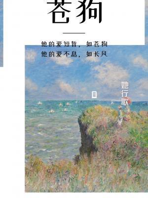 苍狗封面