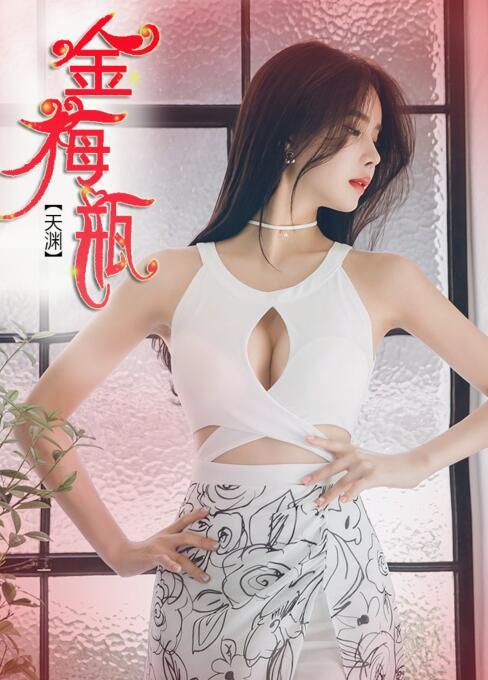 金梅瓶封面