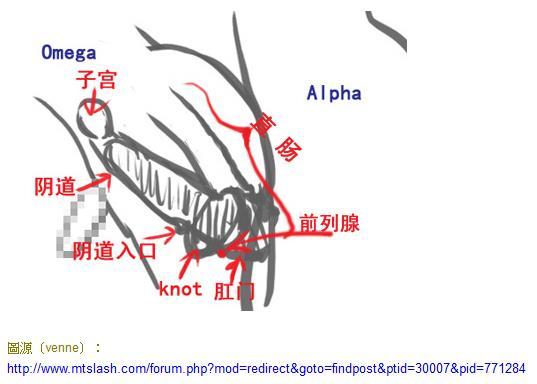 豪门艳事/军官养父的霸道之吻[ABO]封面