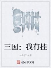 三国：我有挂封面