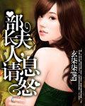 部长夫人,请息怒封面