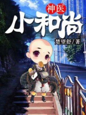 神医小和尚封面