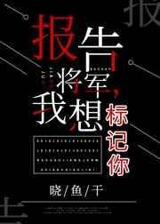 报告将军，我想标记你封面