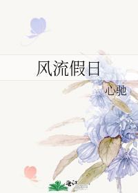 风流假日封面