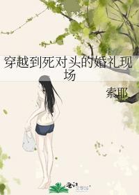 穿越到死对头的婚礼现场封面