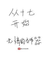 从十七开始封面