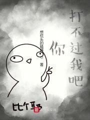 你打不过我吧封面