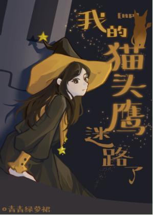 [HP]我的猫头鹰迷路了封面